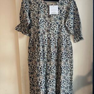 Little Cottonwood Dahlia - Blue and Cream